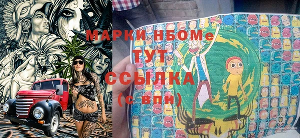 прущие грибы Бугульма