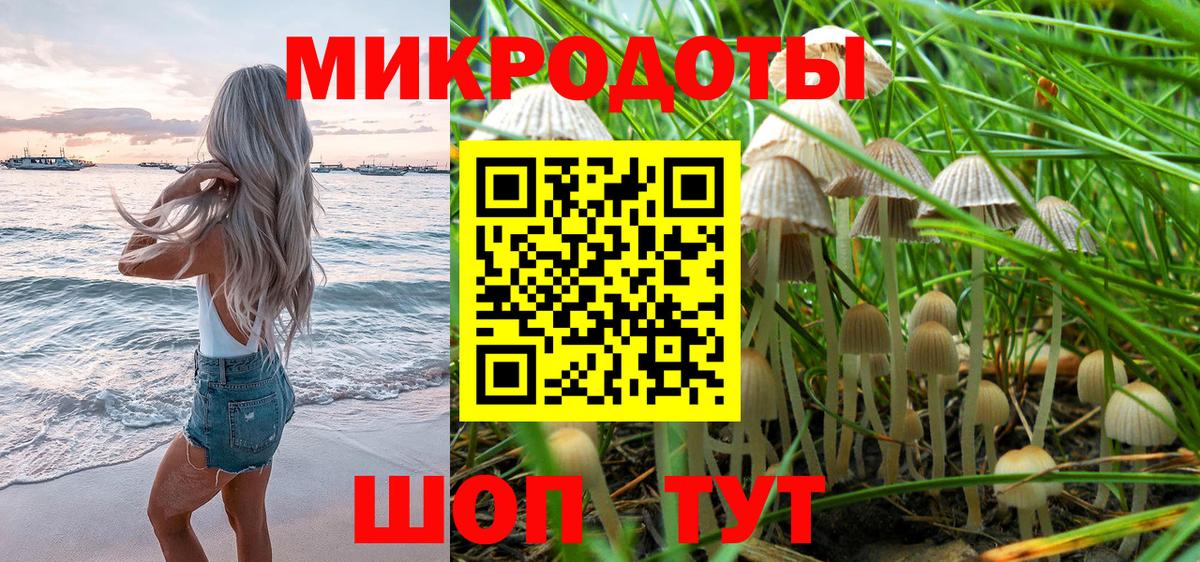 Галлюциногенные грибы прущие грибы Железноводск