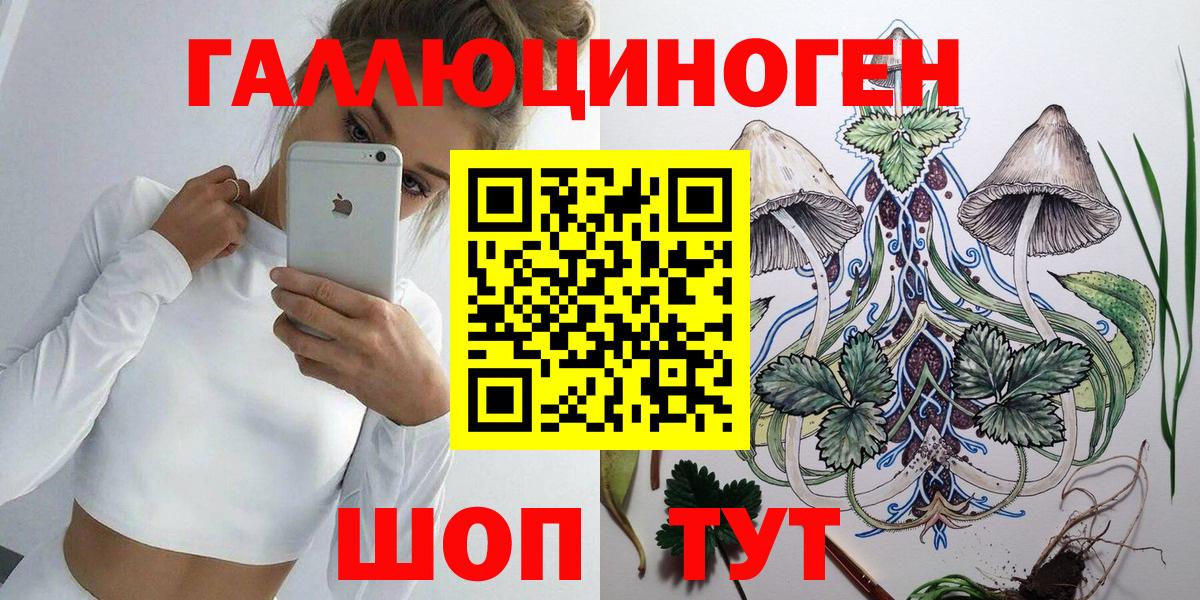 Железноводск  цены   Вход с VPN  Псилоцибиновые грибы Cubensis 