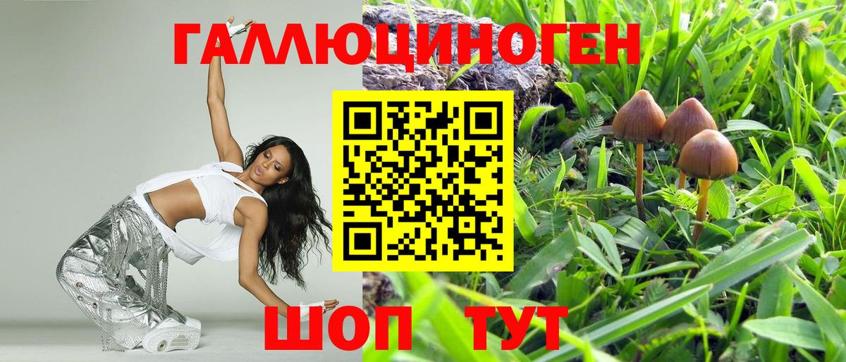 Псилоцибиновые грибы прущие грибы Железноводск